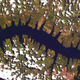 Illustration for article titled This Massive Spiral Structure in the Sahara Is Visible from Space